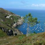1014-port-de-brezellec--
