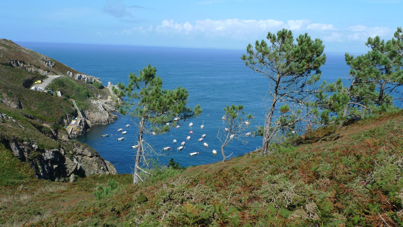 Port de Brézellec..