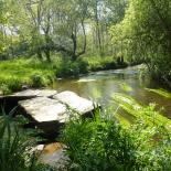 1019-le-goyen-a-larin
