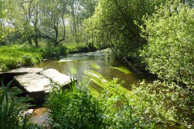 Le Goyen à Larin