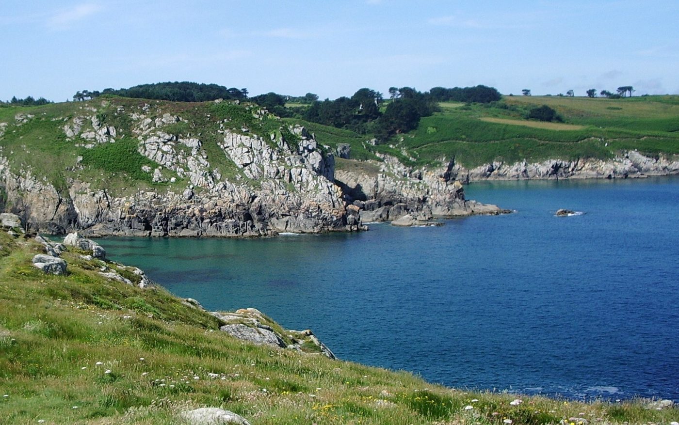 Kastel koz