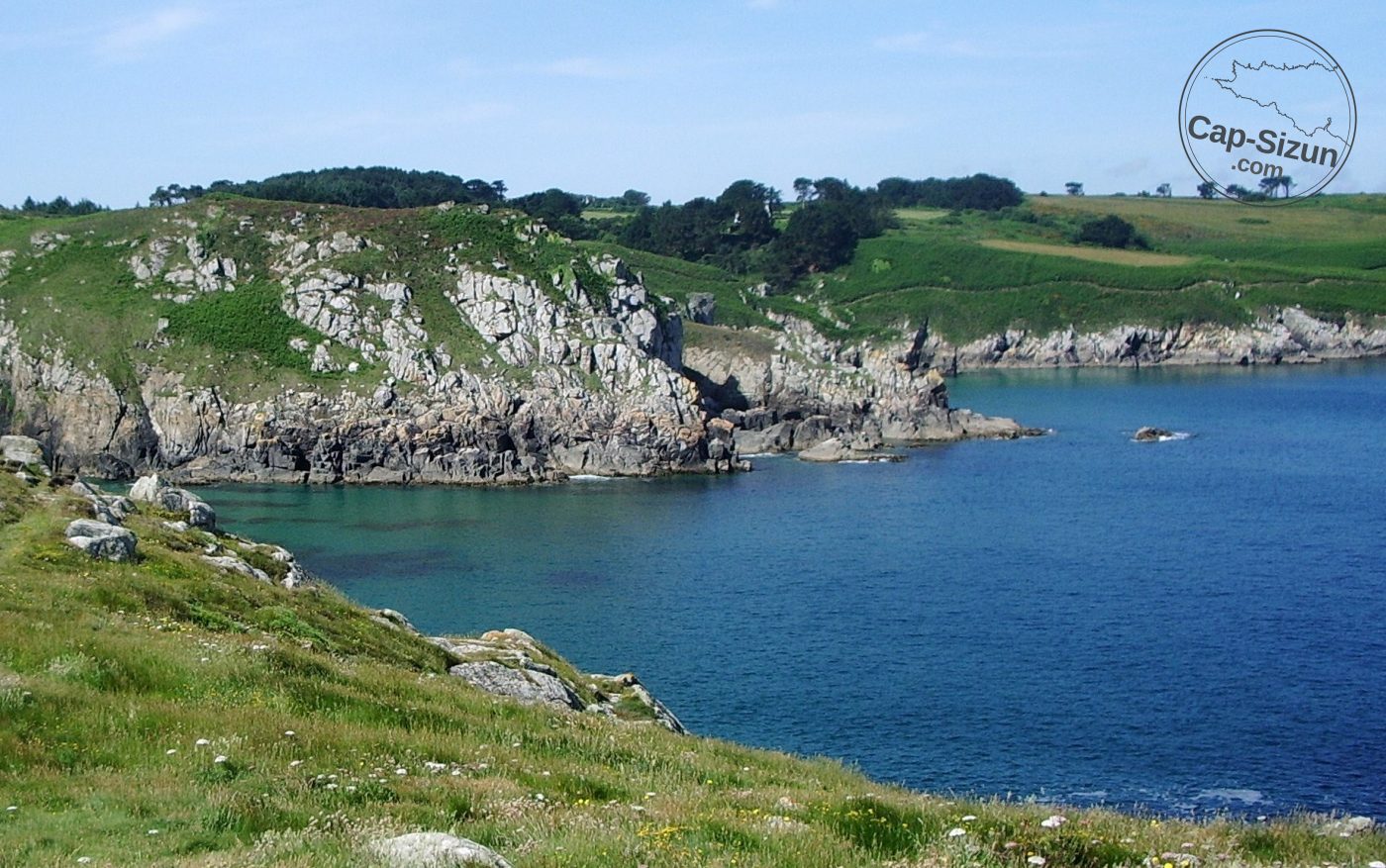 Kastel koz