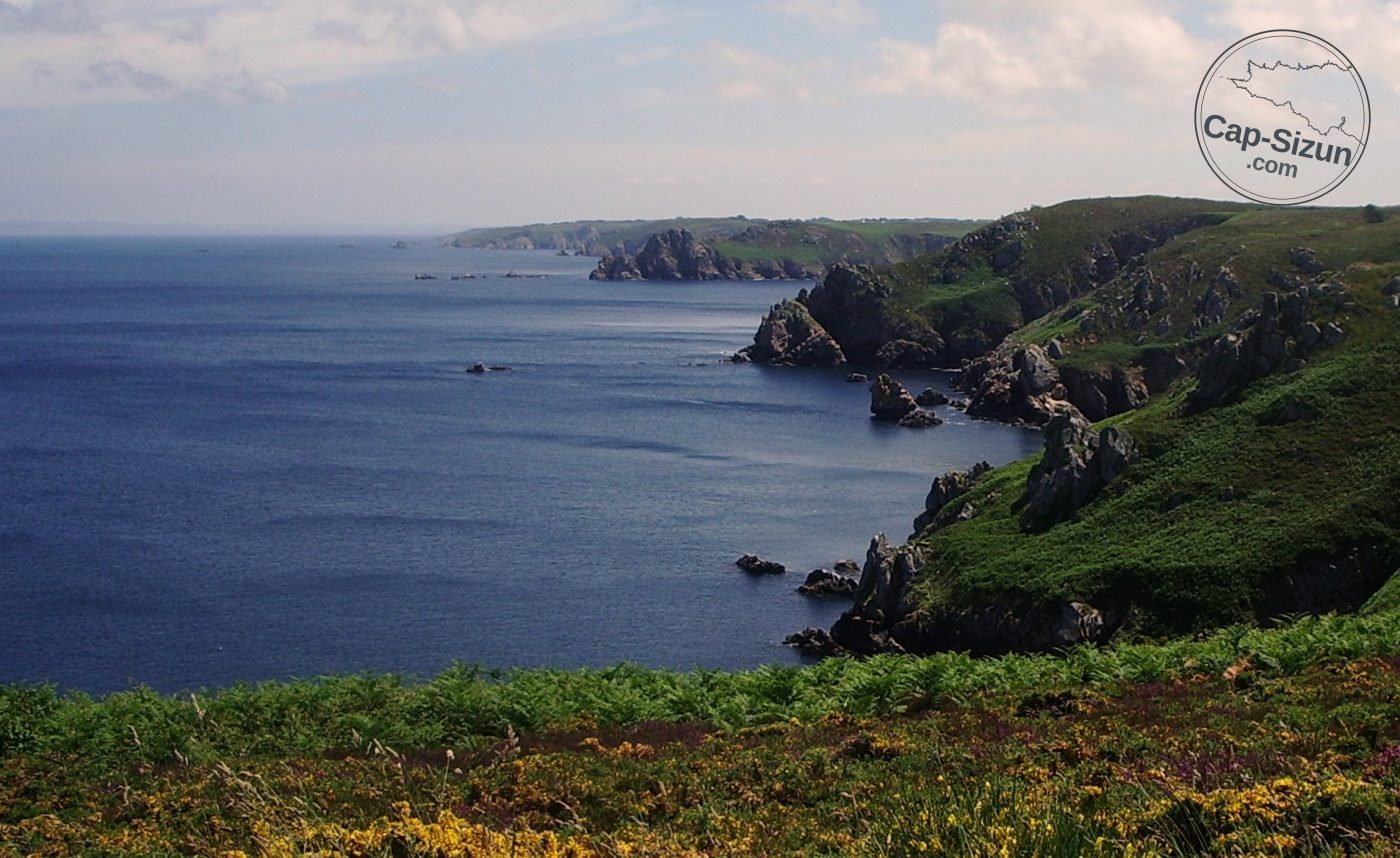 Pointe de brezelec