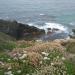 1046-pointe-du-van-ou-beg-ar-vann