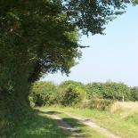 106-petit-chemin-de-terre