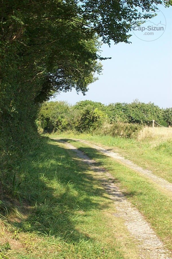 Petit chemin de terre