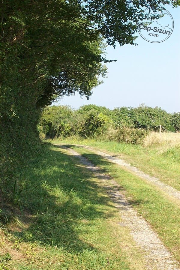 Petit chemin de terre