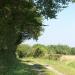 106-petit-chemin-de-terre