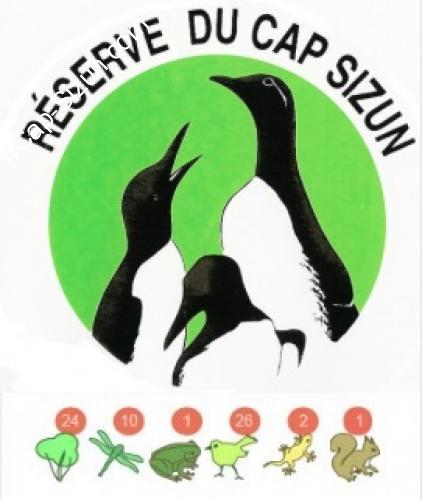 Réserve Ornithologique du Cap-Sizun