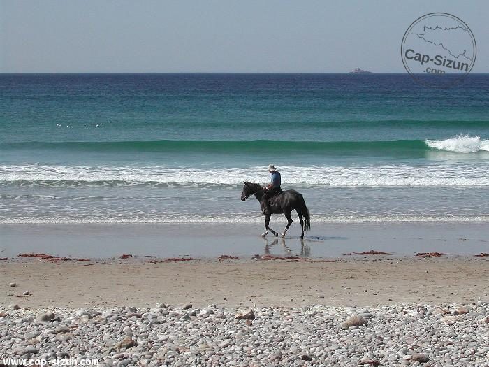 Un cheval à la baie des Trépassés