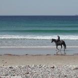 11-un-cheval-a-la-baie-des-trepasses