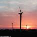 26-les-eoliennes-de-goulien