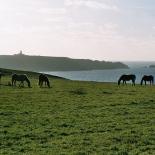 286-dadas-a-la-pointe-du-raz