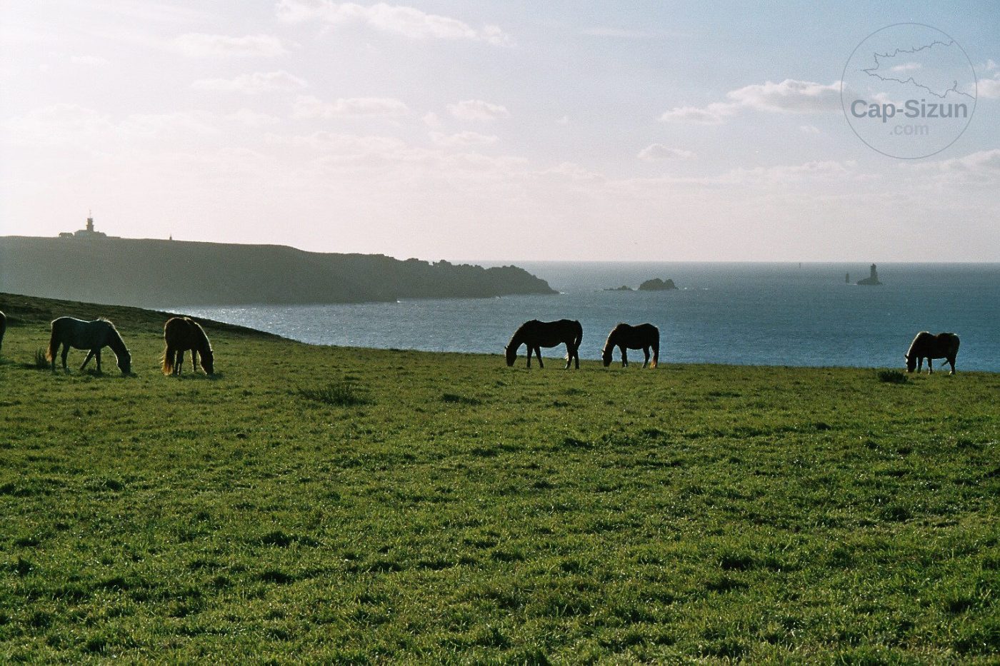 Dadas à la Pointe du Raz 