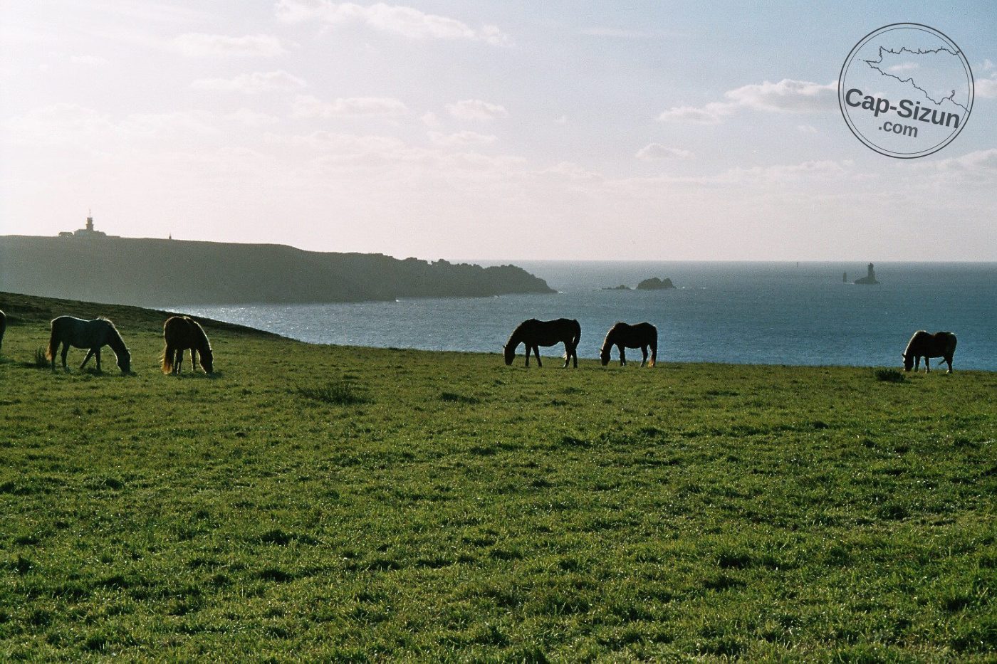 Dadas à la Pointe du Raz 