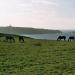 286-dadas-a-la-pointe-du-raz