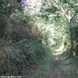 3-sentier-pedestre-a-plogoff