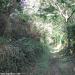 3-sentier-pedestre-a-plogoff