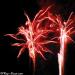 32-la-fete-des-bruyeres