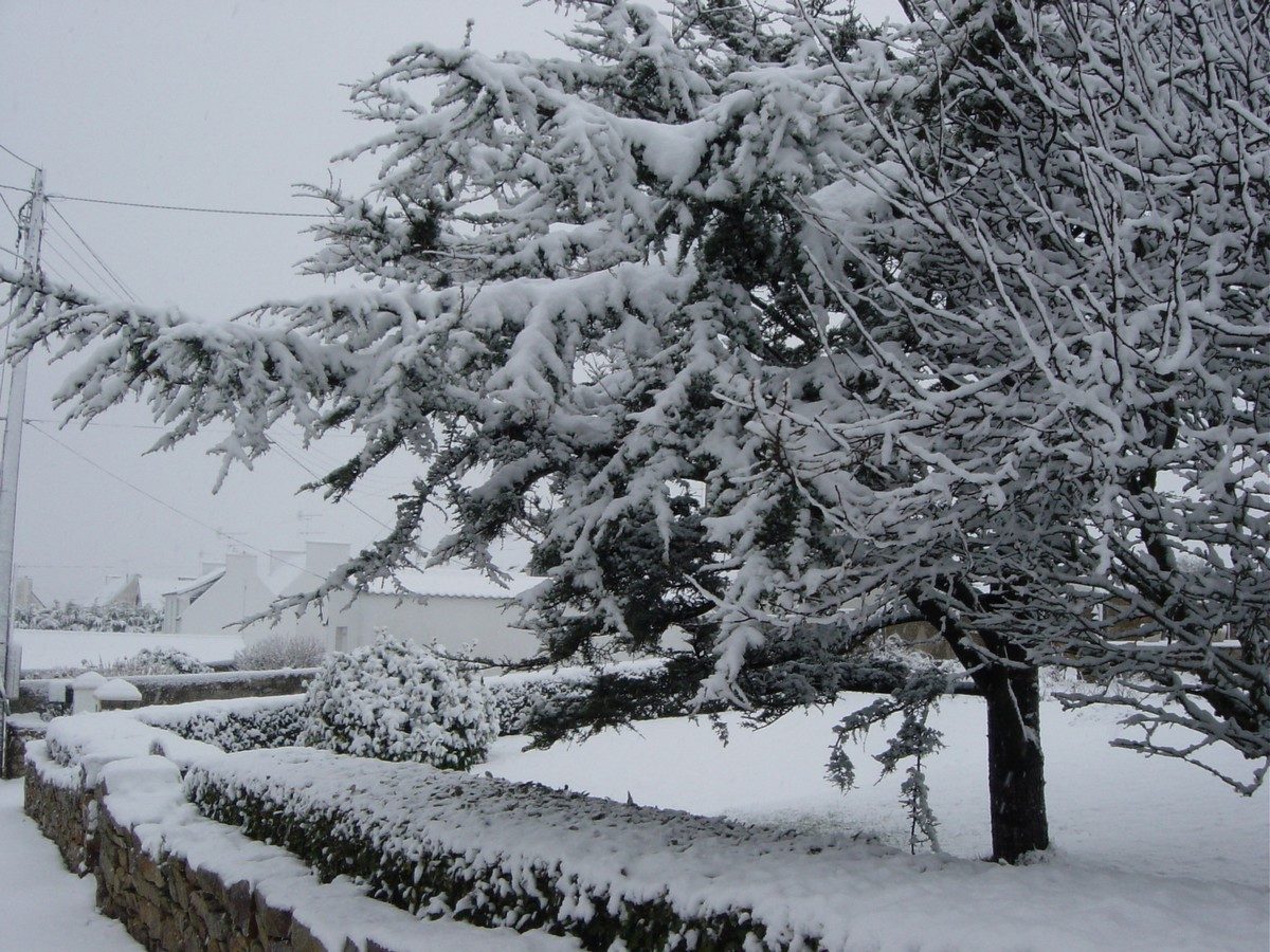 Plogoff, c'est encore Noël !