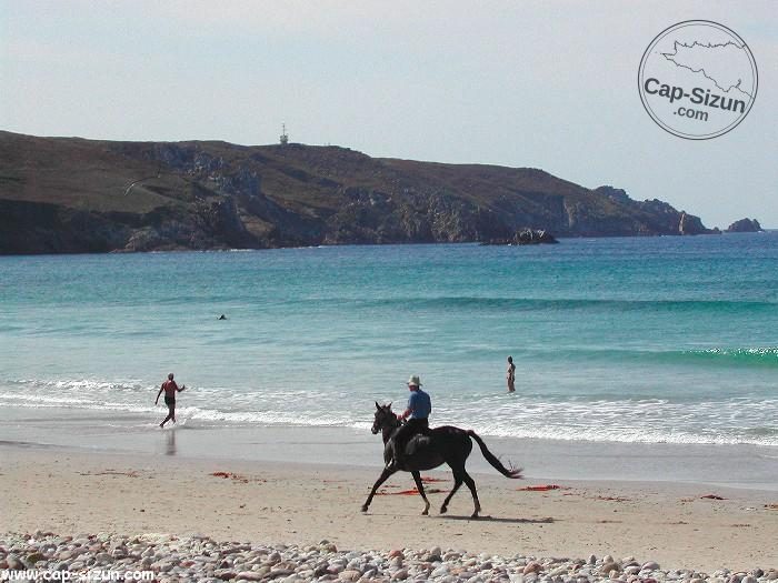 Un cheval à la baie des Trépassés