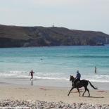 4-un-cheval-a-la-baie-des-trepasses
