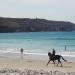 4-un-cheval-a-la-baie-des-trepasses