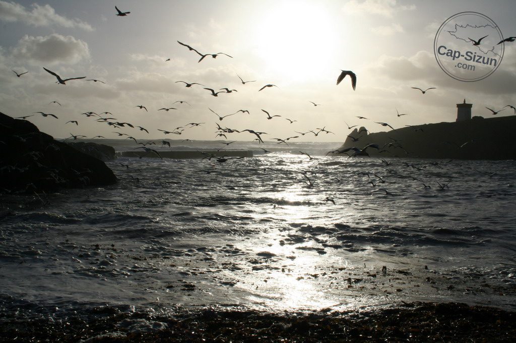 Tempête à Pors Poulhan