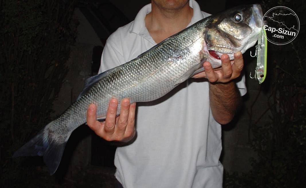 Pêcherie secteur Baie des Trépassés