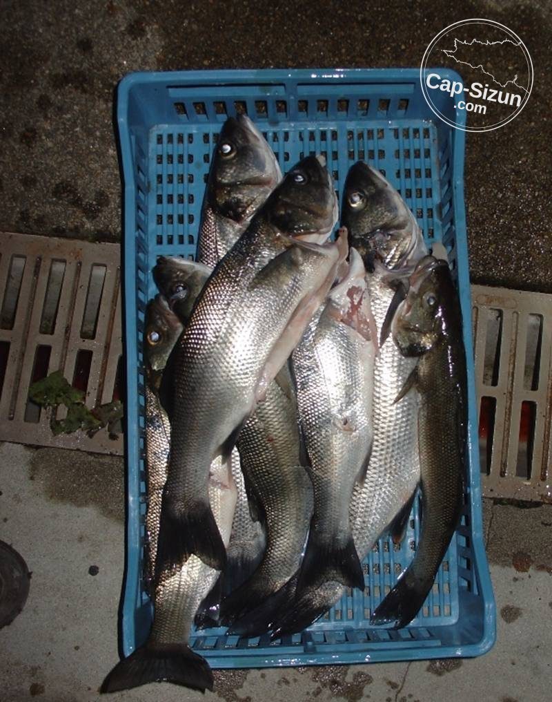 Pêcherie secteur Baie des Trépassés