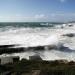 48-pors-loubous-dans-la-tempete