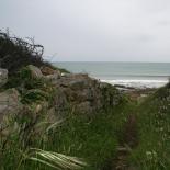 496-sentier-entre-mesperleuc-et-gwendrez