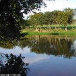 5-reflets-dans-un-etang