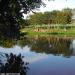 5-reflets-dans-un-etang