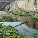 539-reflet-a-pors-loubous