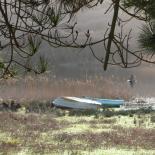 580-etangs-de-la-baie-des-trepasses