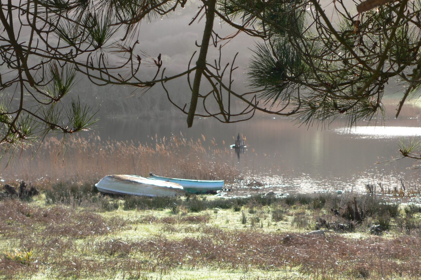 Etangs de la baie des Trepassés