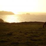 710-un-cheval-avec-coucher-de-soleil-sur-le-raz-de-sein