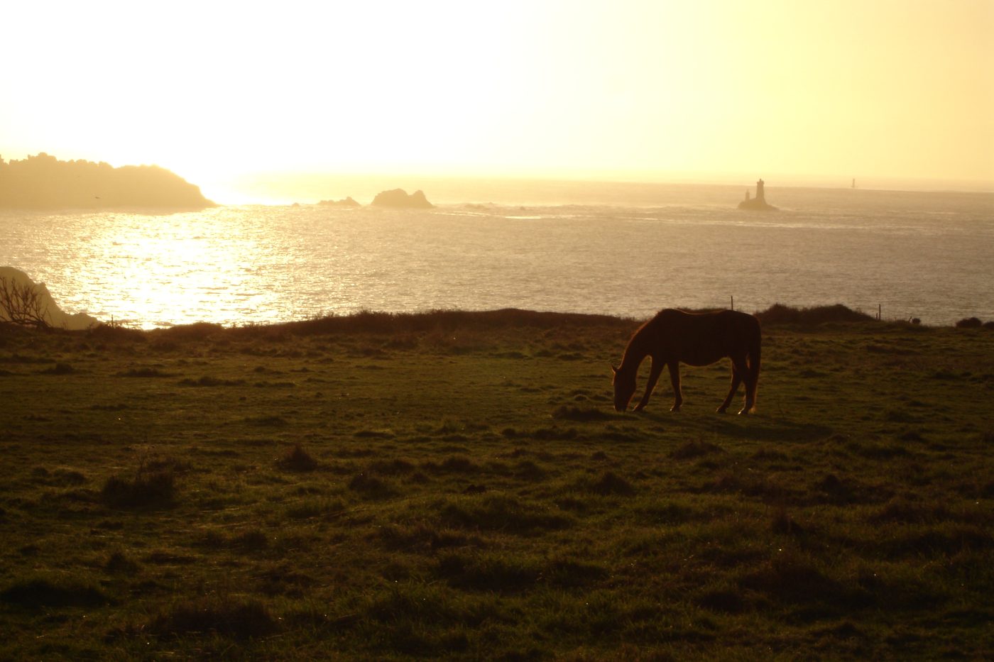Un cheval avec coucher de soleil sur le Raz de Sein