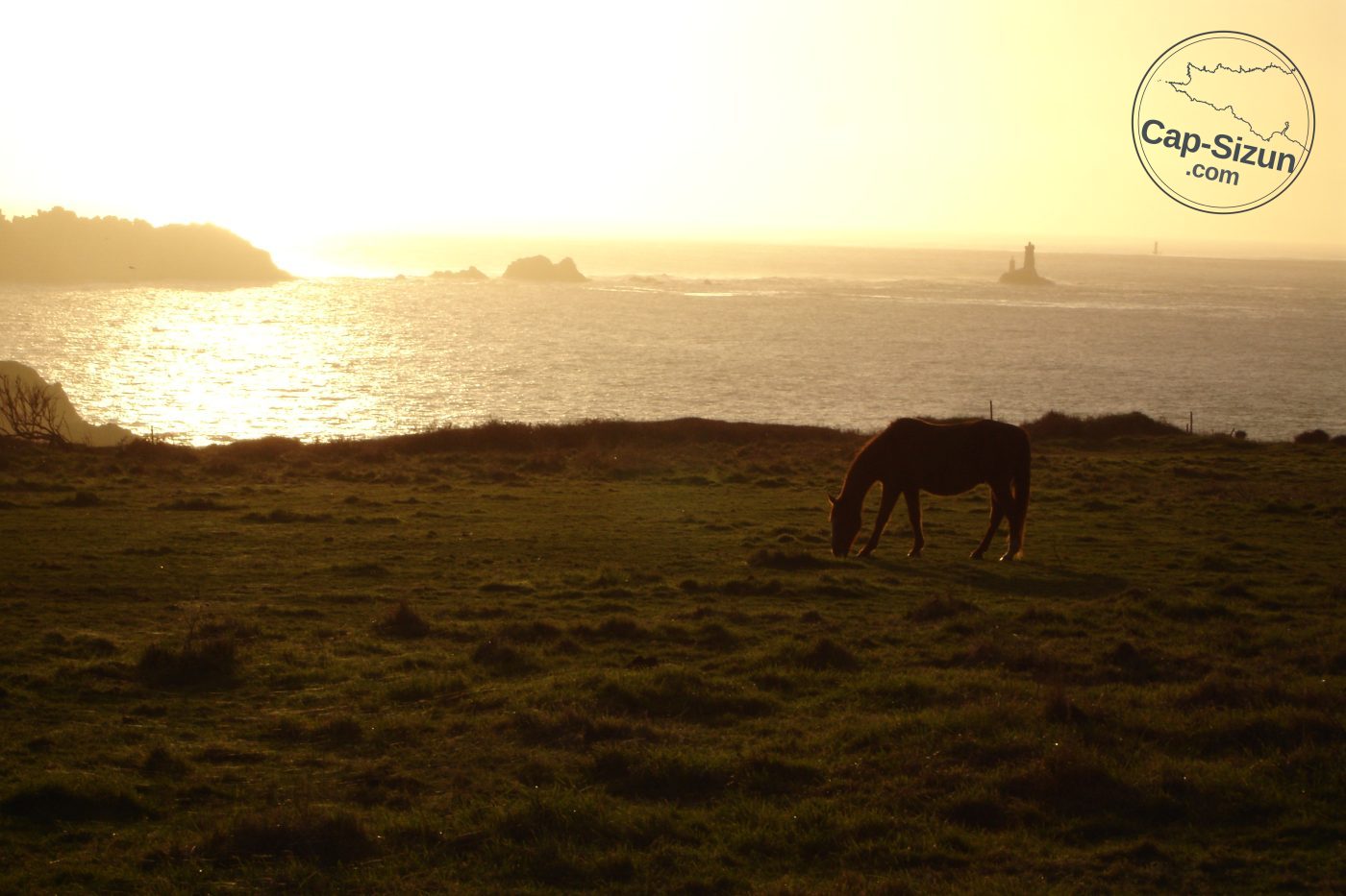 Un cheval avec coucher de soleil sur le Raz de Sein