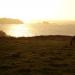 710-un-cheval-avec-coucher-de-soleil-sur-le-raz-de-sein