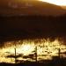 711-coucher-de-soleil--sur-l-etang-de-laoual----baie-des-trepasses