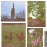 720-randonnee-d-automne-a-cleden-cap-sizun