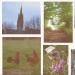 720-randonnee-d-automne-a-cleden-cap-sizun