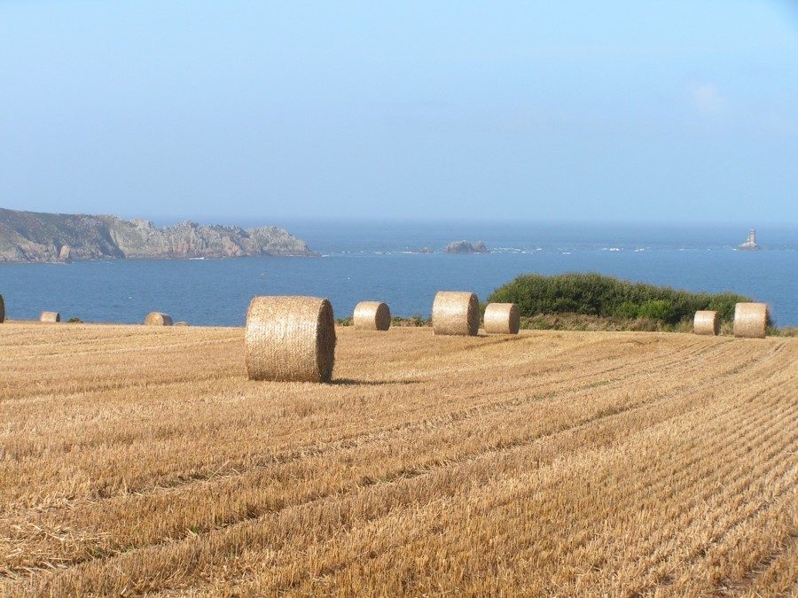 Moisson à la Pointe du Van