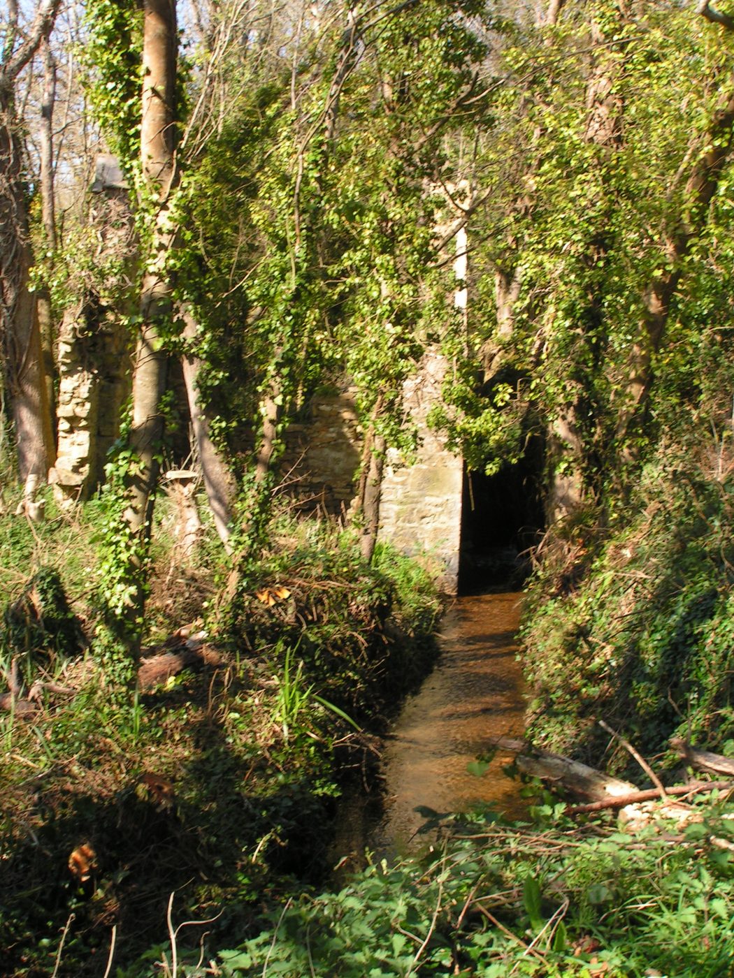 Ancien moulin à eau du village de Kerham