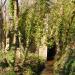 735-ancien-moulin-a-eau-du-village-de-kerham