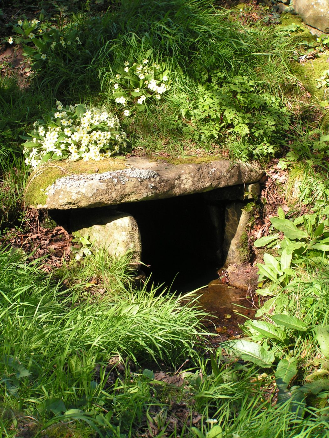 Fontaine de Saint Trémeur