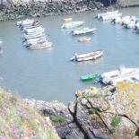 762-randonnee--a-pors-poullan--petit-port-abri-a-plouhinec