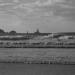 783-jour-de-grand-vent-dans-la-baie-des-trepasses